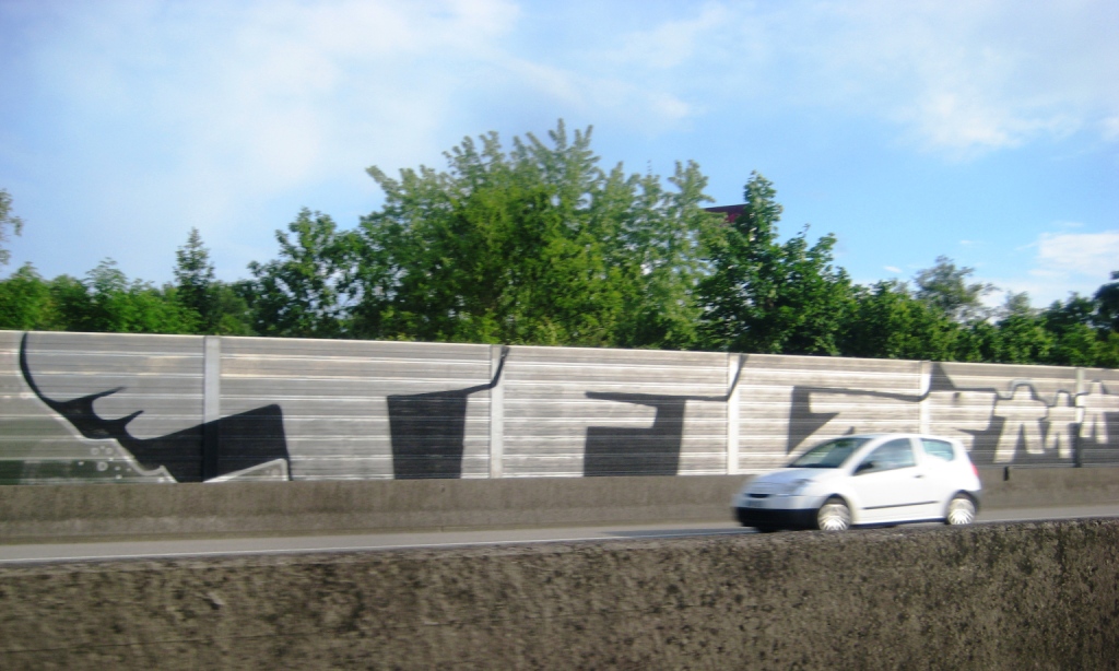 strasbourg_graffiti_mai2013_TFG (1)