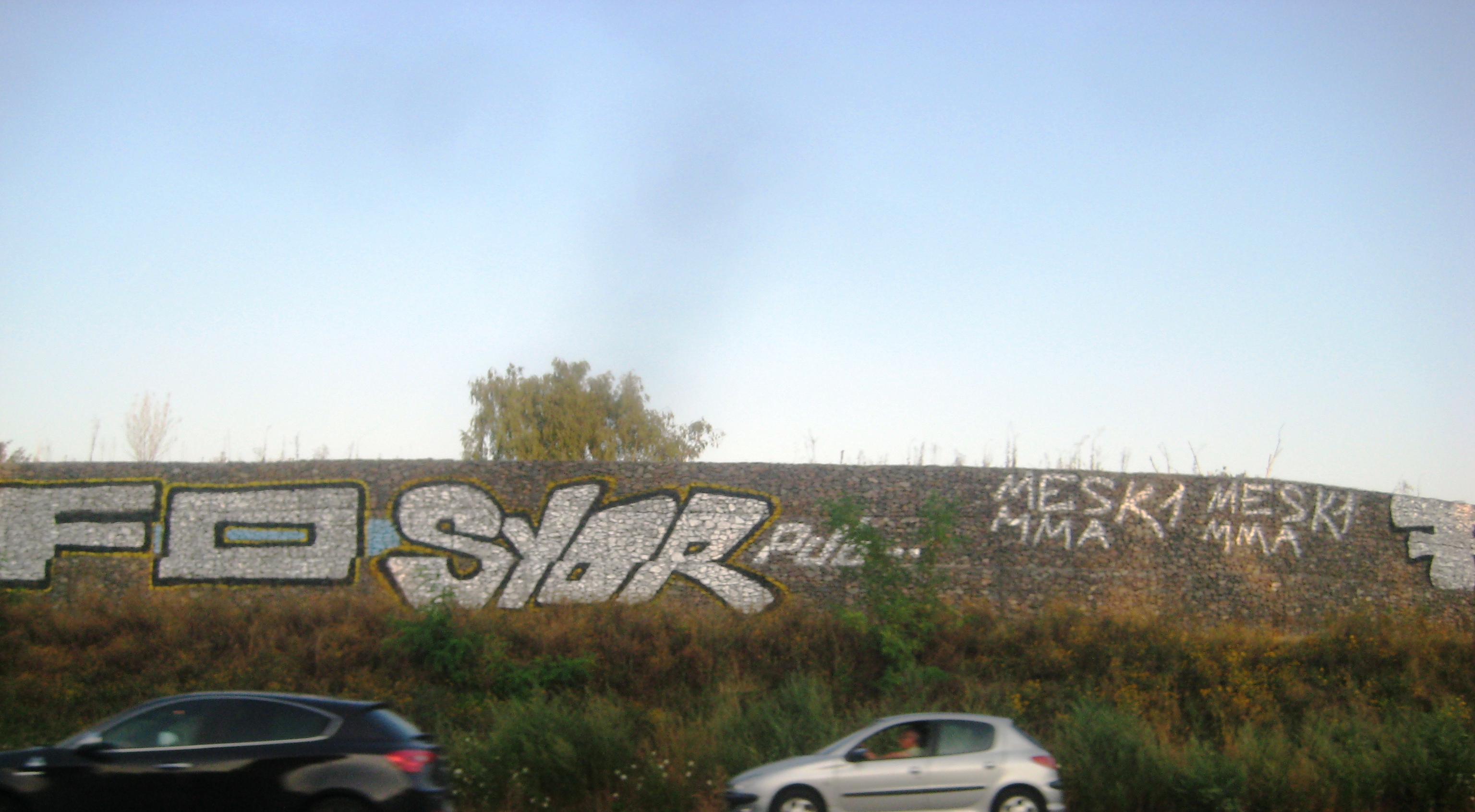 LFO, SYOR, 7- graffiti - strasbourg - été2013_2