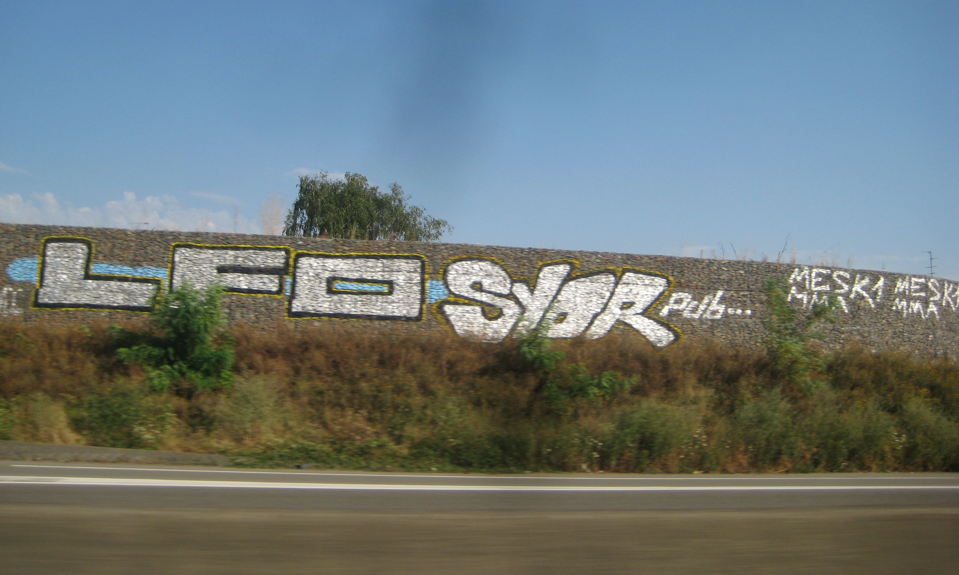 LFO, SYOR - graffiti - strasbourg - été2013