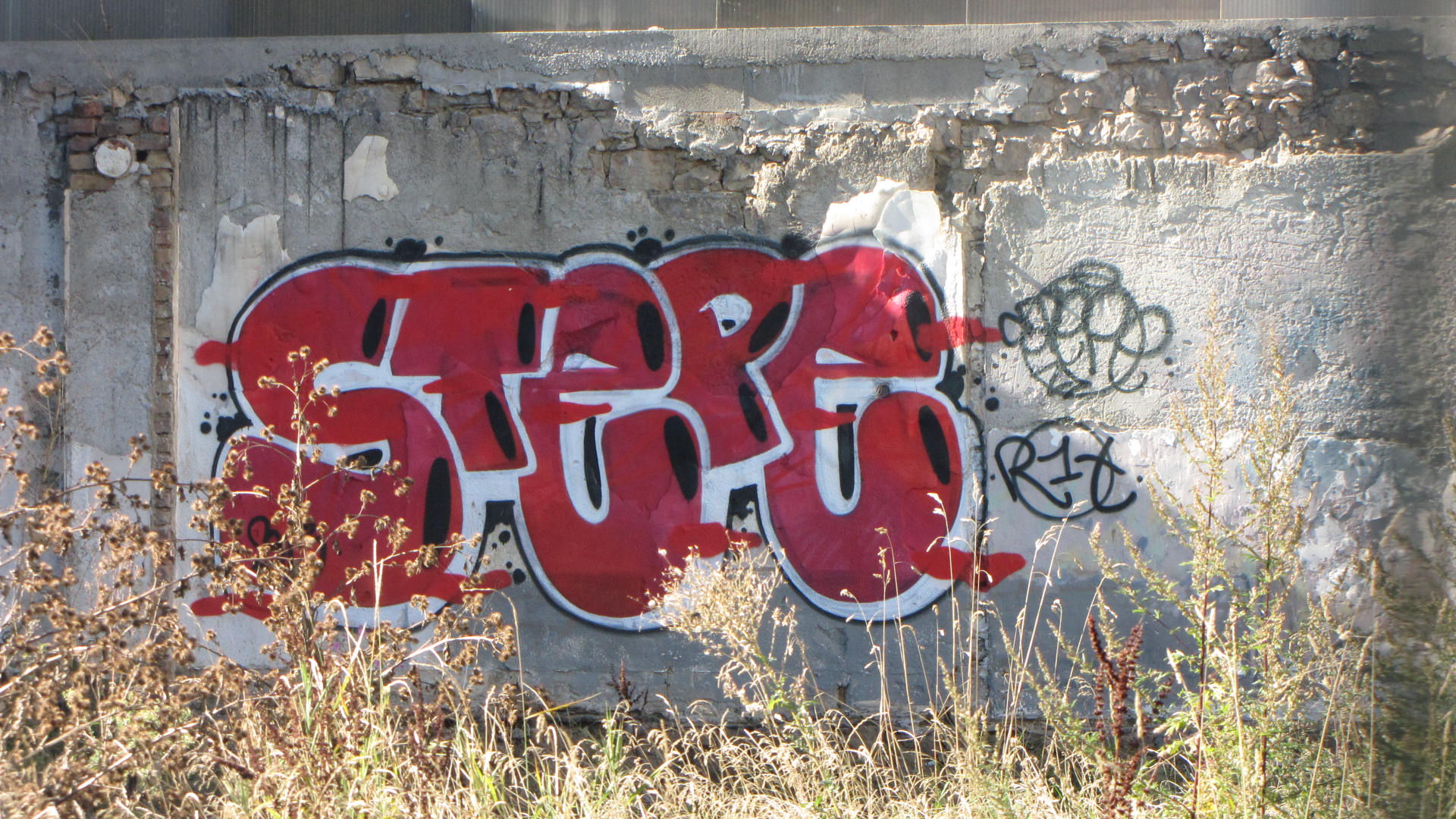 stepe, shyter - grafiti-mulhouse-2013 (3)
