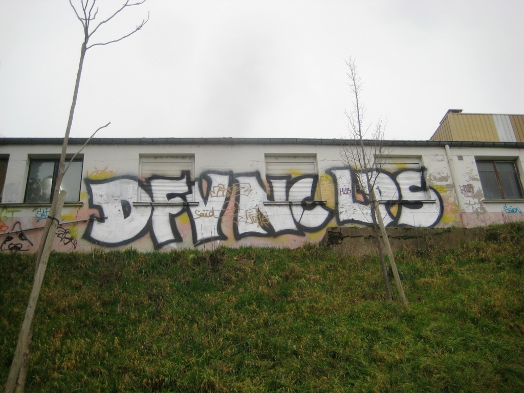 METZ 08.01.2013 graffiti - DFV.NC.LPS