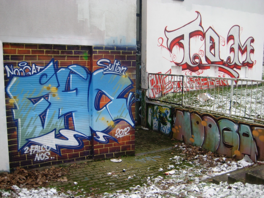 Saarbrücken_Graffiti_13.01.13 - FHC, Noogat (1)