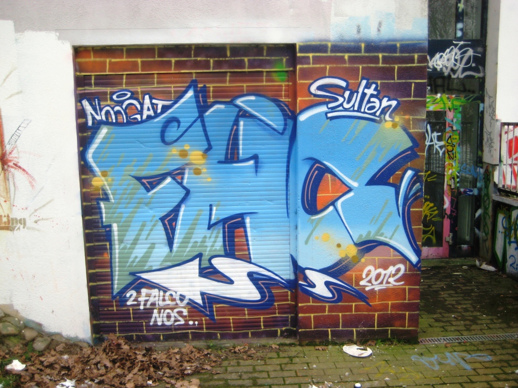 Saarbrücken_Graffiti_13.01.13 - FHC, Noogat (2)