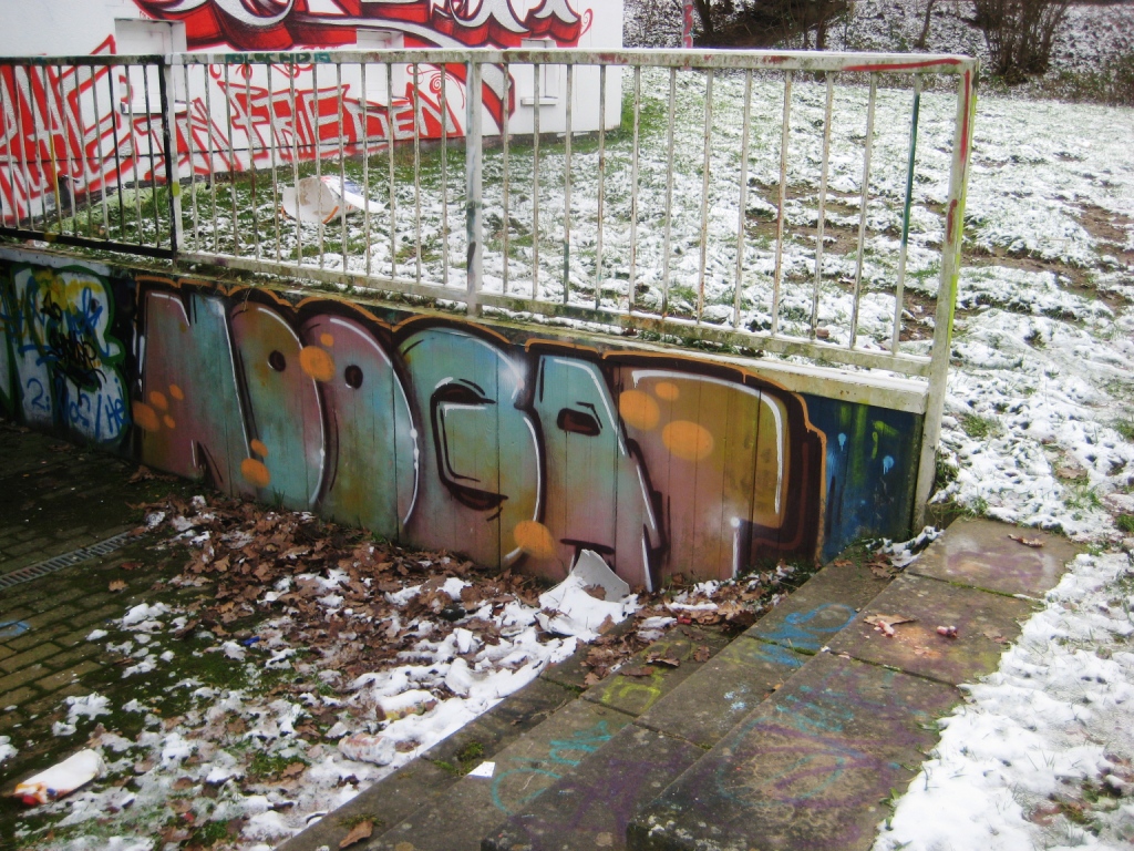 Saarbrücken_Graffiti_13.01.13 - FHC, Noogat (3)