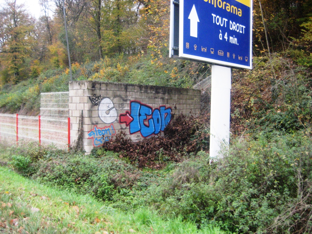 belfort-graffiti-nov2013-Leon