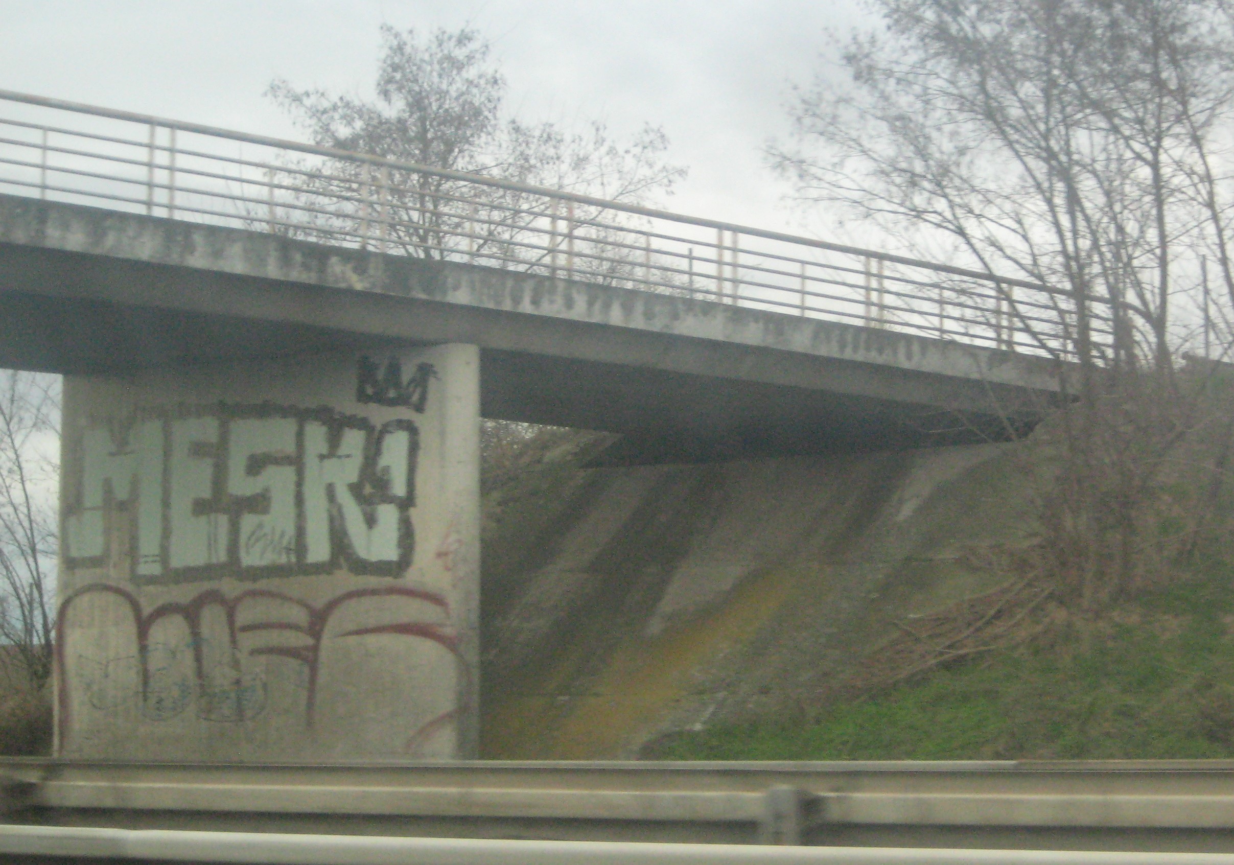 Mesk1, Web - graffiti - Alsace janv 2014