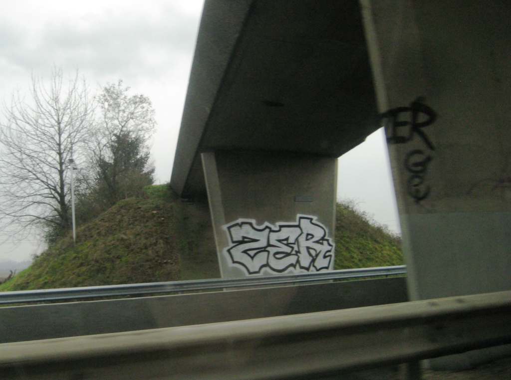 ZER graffiti alsace dec 2013