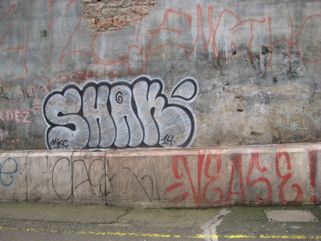 besancon-fevrier 2014 graffiti-shak (1)