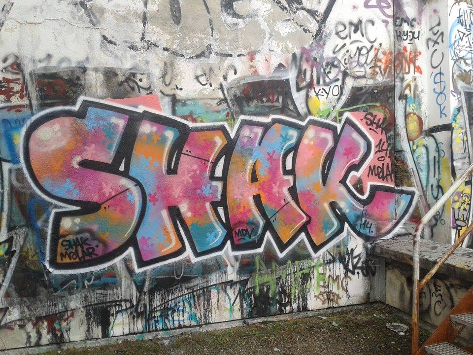shak - rhodia 2014 - graffiti - besancon