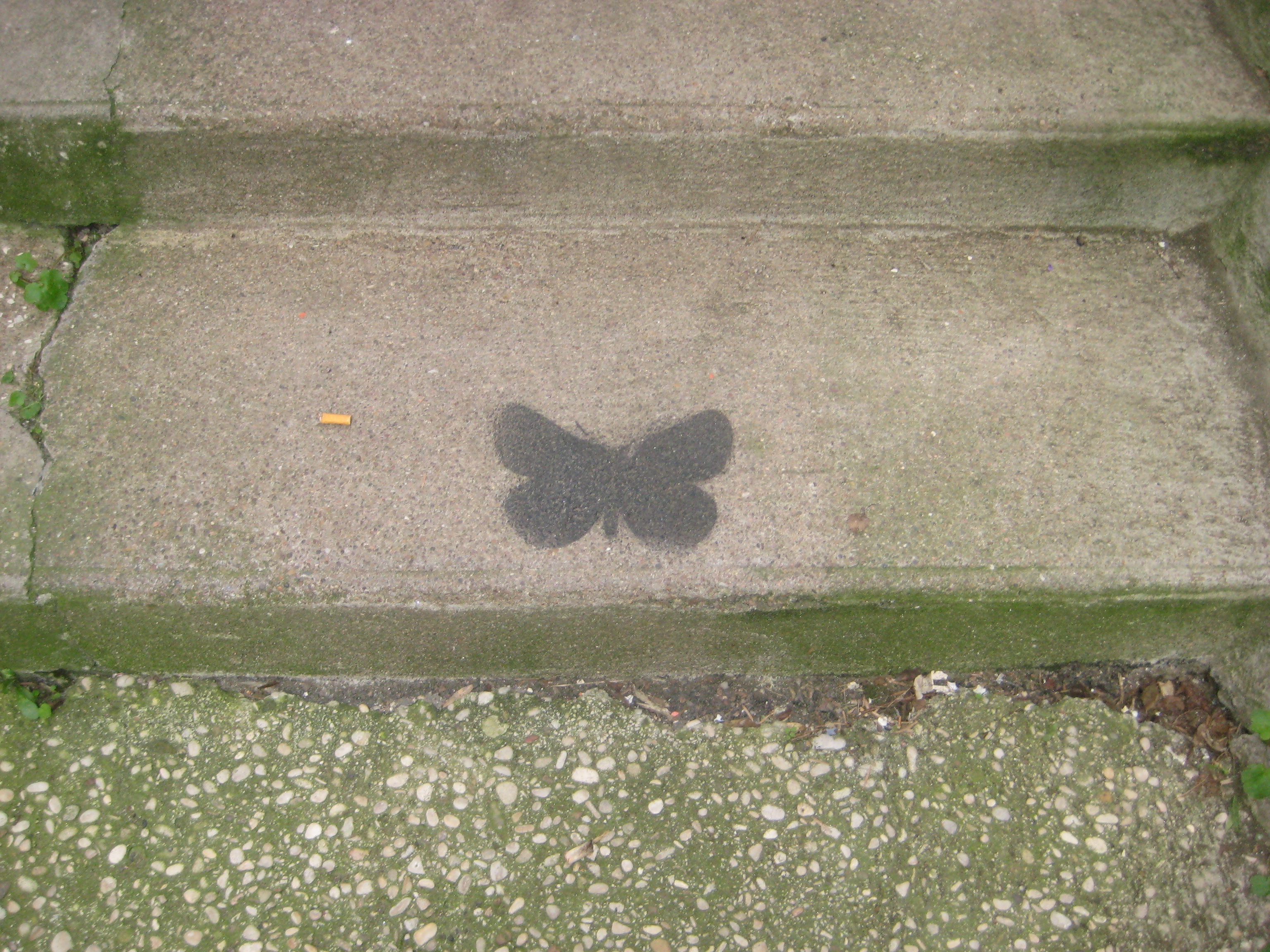 papillon - pochoir - besancon - 04.2014 (2)