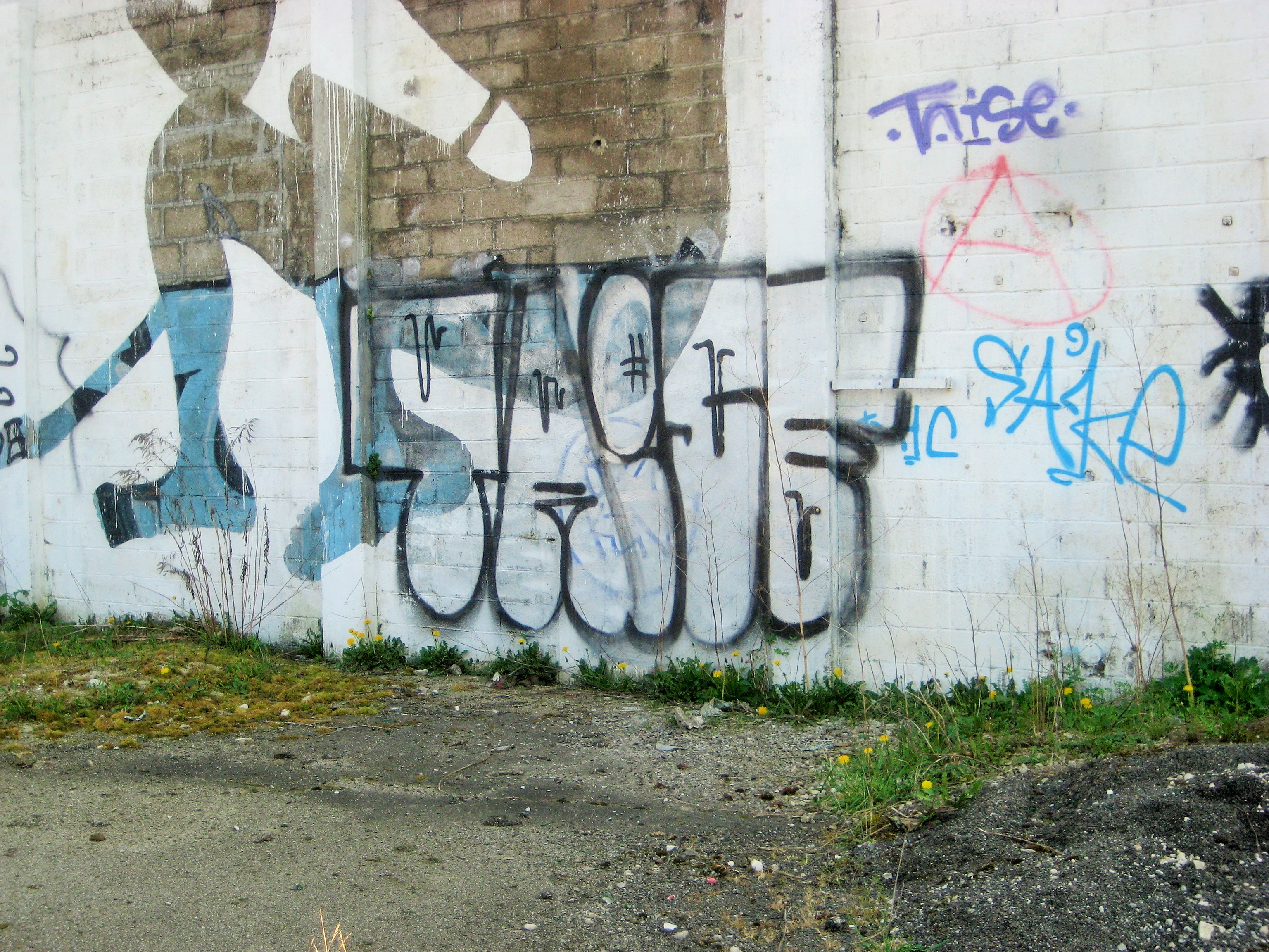 taise, besancon, avril 2014