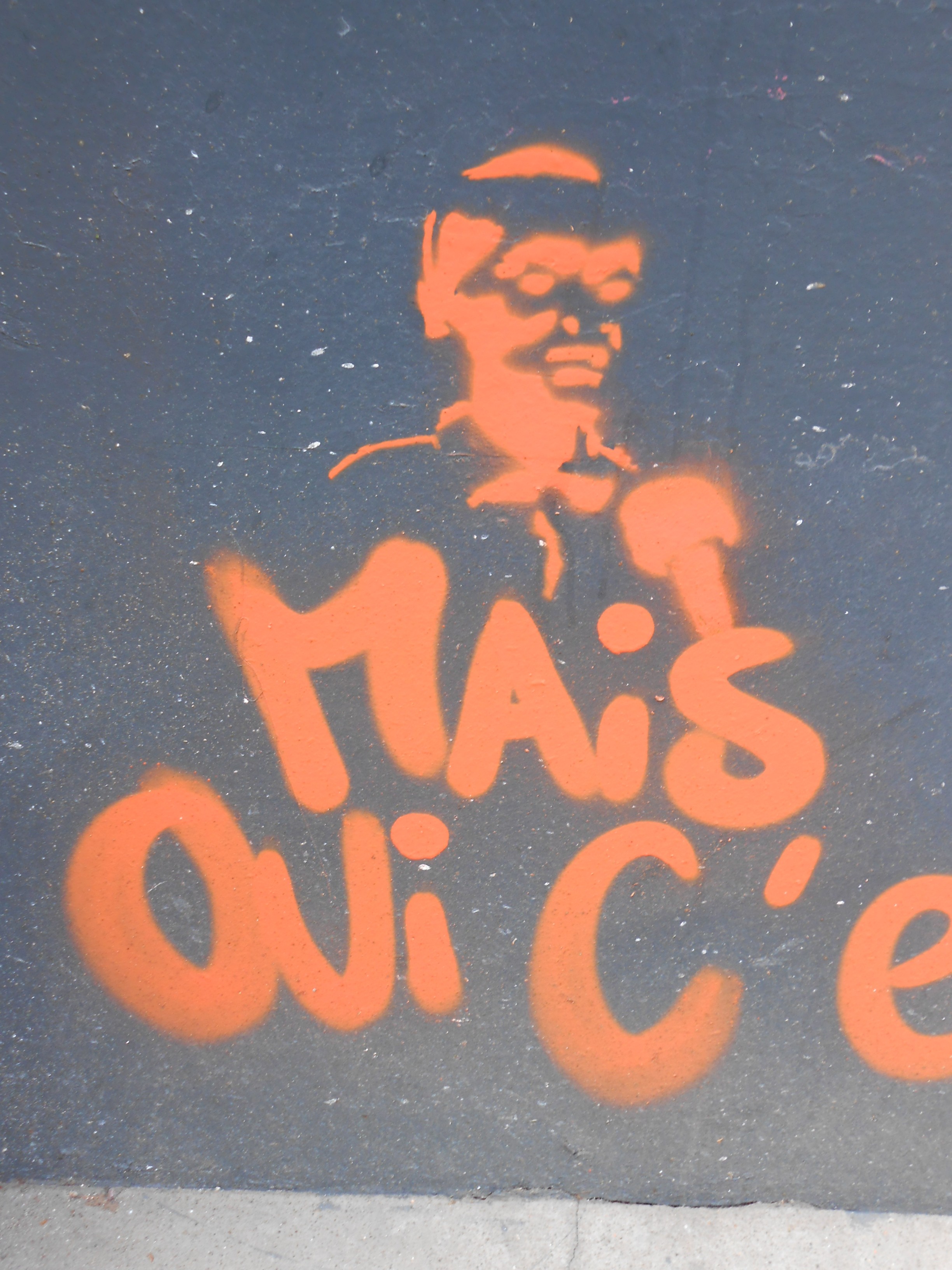 pochoir - besanon, mai 2014 - mais oui c claire (3)