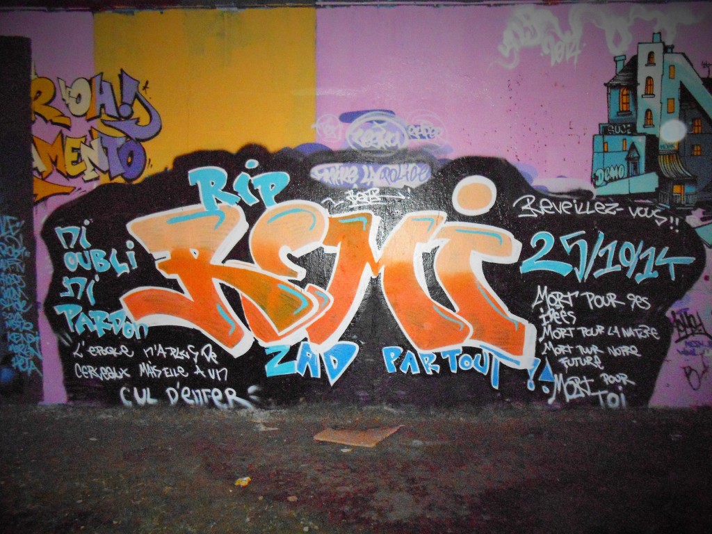 besancon - graffiti - novembre 2014_RIP REMI