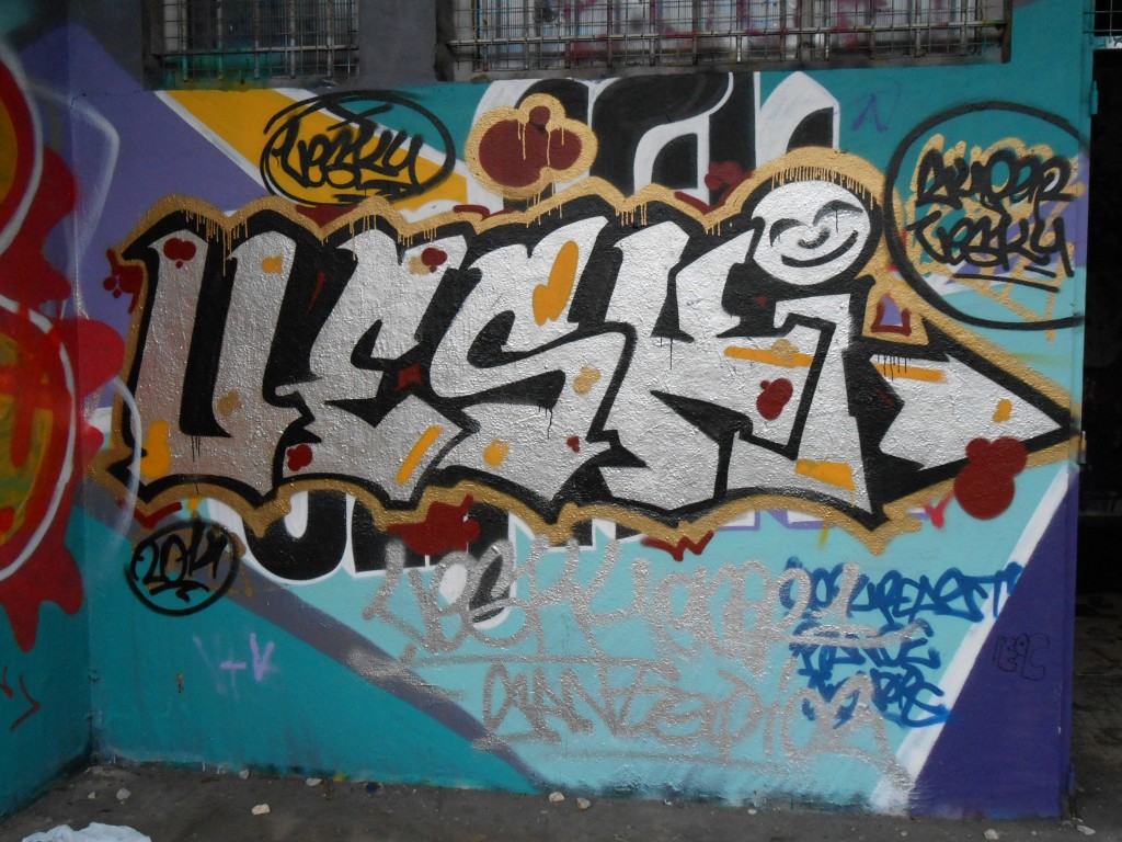 besancon_novembre 2014 graffiti_VESKI