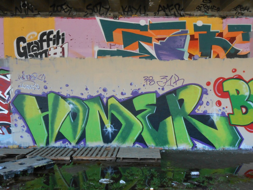 homer graffiti besak mars 2015