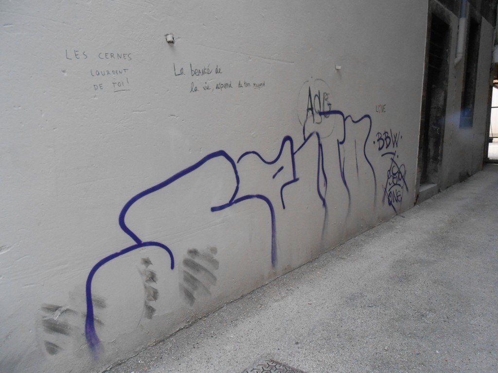 Seto - graffiti - besancon 2015 (2)
