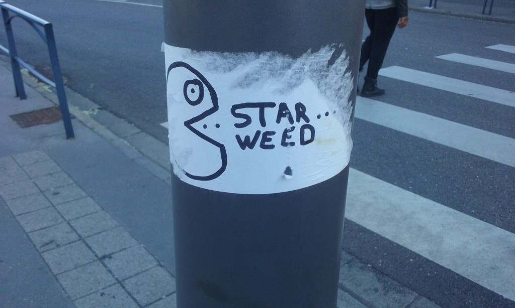 star weed - sticker - nancy juin 2015