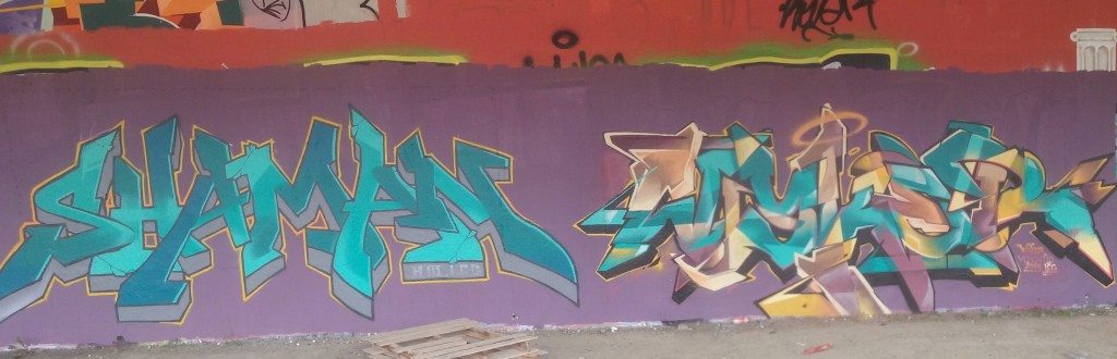 shaman, wyker, graffiti, besancon, 07.2015 (2)