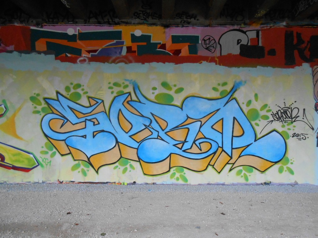 nov 2015 Besancon basik, seronerJPG (1)