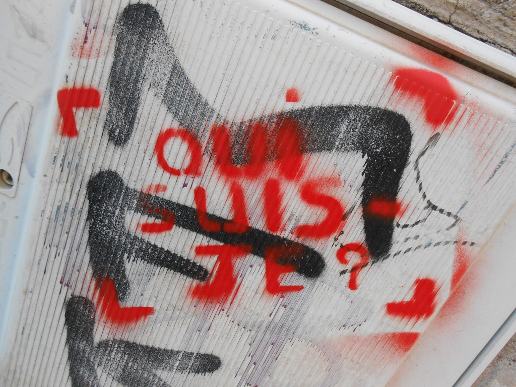 qui suis je - pochoir besancon 2015 (2)