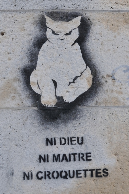 chat-ni-dieu-ni-maitre