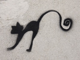 scared_cat_street_graffiti-t2