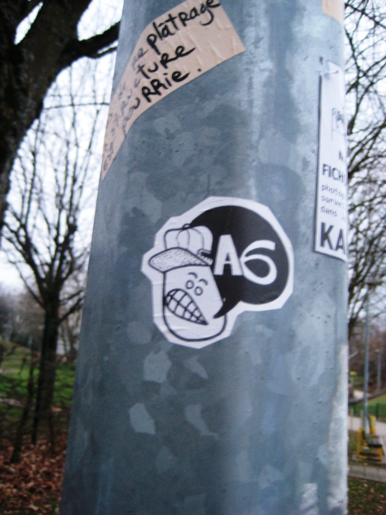 besancon 28.01.11 (15)