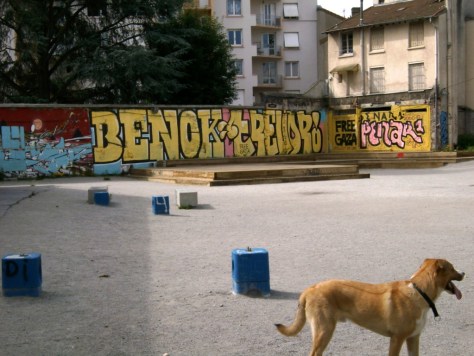 Saint-étienne-Graffiti-22