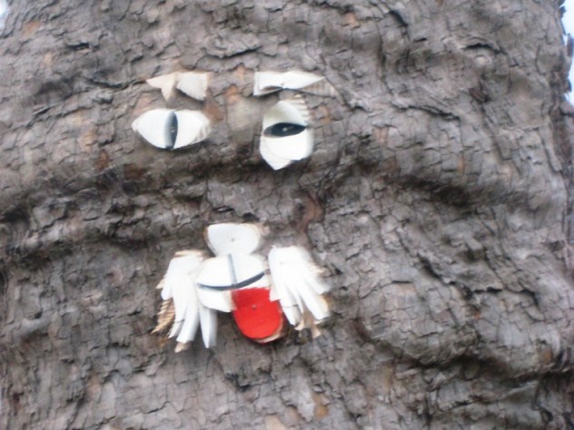 TRIER-street art arboricole-29.11.12 collage visage (1)