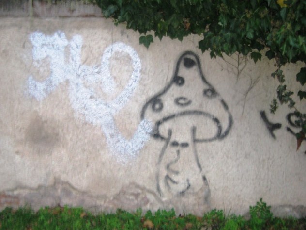 TRIER-GRAFFITI-29.11.12-champi (1)