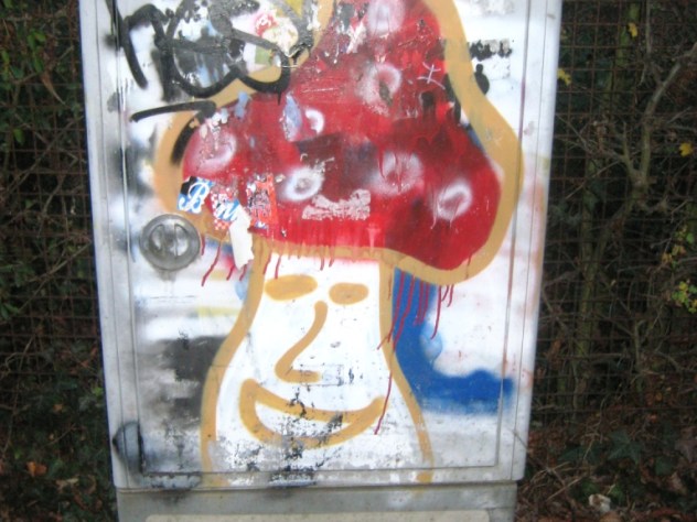 TRIER-GRAFFITI-29.11.12-champi (2)