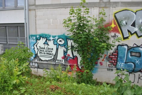 Freiburg graffiti 08.06.12 UIR CRUE