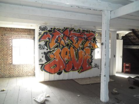 Noz,Vide - graffiti, belfort 2015 (1)