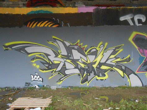 besancon avril 2015 BASIK graffiti
