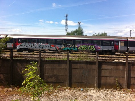 padaone, zila, cykle - graffiti train (1)