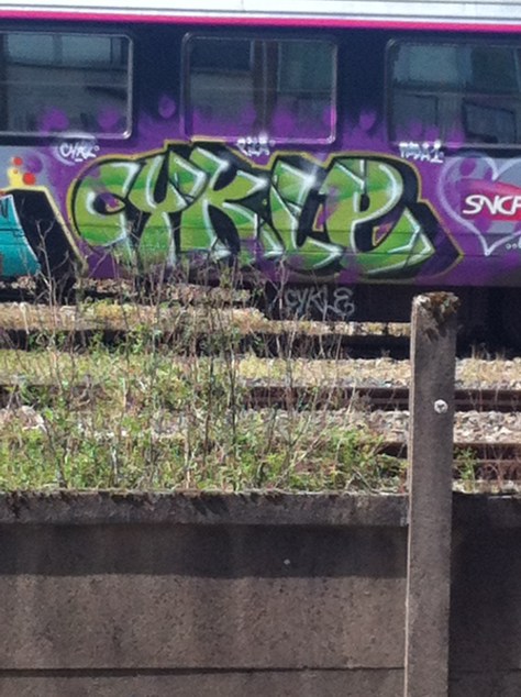 padaone, zila, cykle - graffiti train (3)