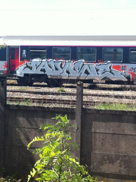 padaone, zila, cykle - graffiti train (4)