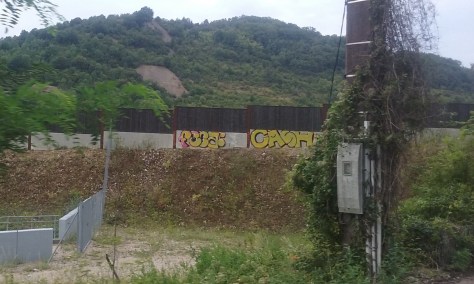 Feca, Cash - graffiti - beurre 2015 (3)