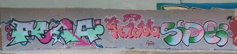 FECA, FAUST, SIDE