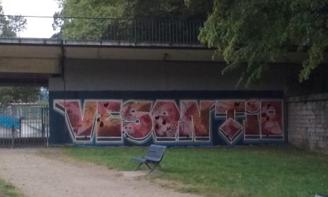 vesontio - graffiti besancon 2016 (1)