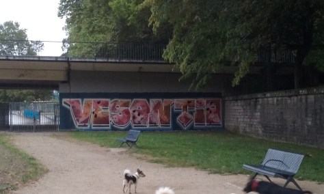 vesontio - graffiti besancon 2016 (2)